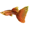 Community icon