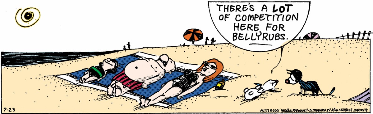 Planche de Mutts représentant une famille à la plage, tous en train de bronzer sur une serviette de plage. À côté d'eux, un chien, allongé sur le dos, explique à un chat : "Ici, il y a beaucoup de compétition pour des gratouillages de ventre". 