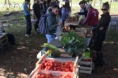 Une récolte qui fait du bien : les étudiants de Bordeaux-Montaigne font pousser des légumes pour leurs camarades en difficulté
