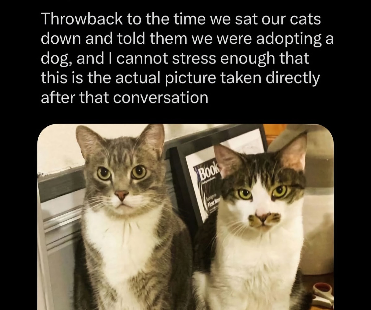 They are displeased