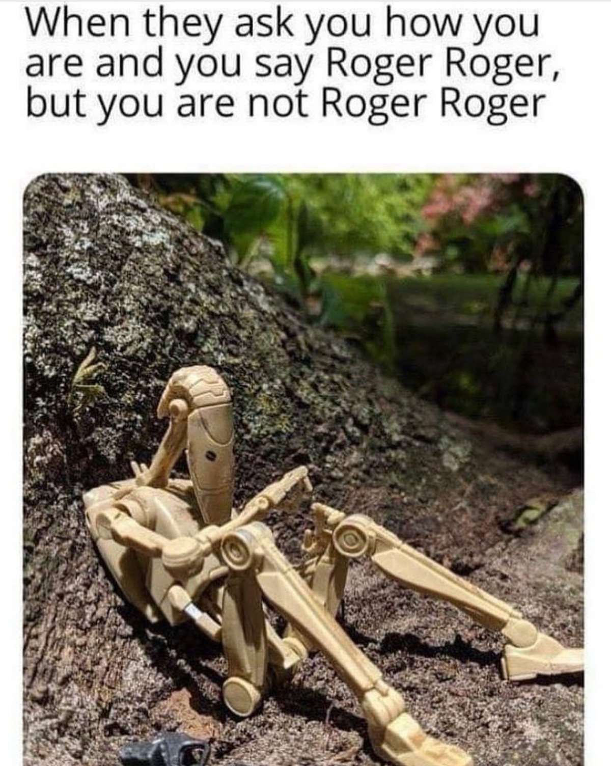 me_irl