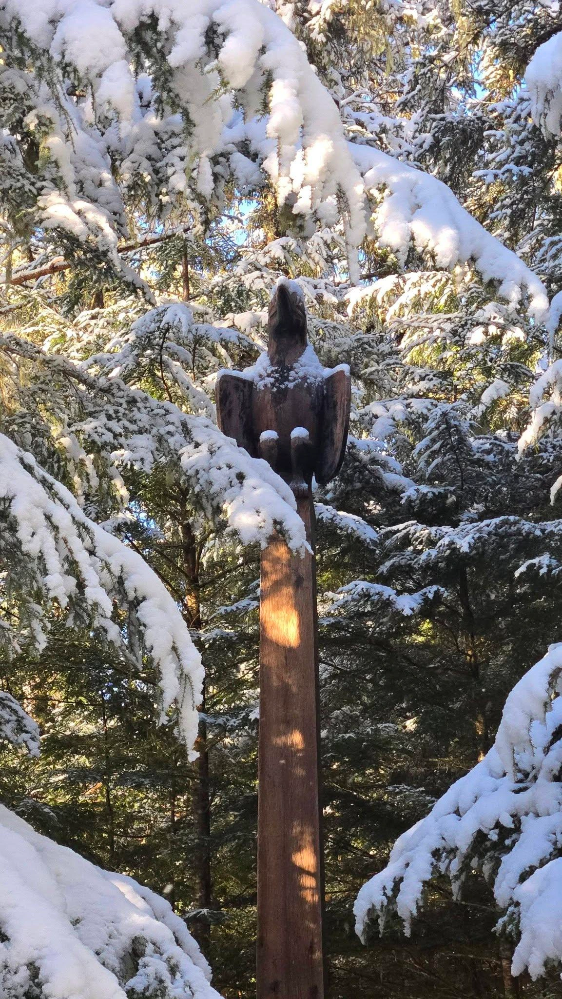 A totem pole with a single raven on the top, roosted, looking toward the sky, with snow on his/her shoulders. The sun is peaking through and highlighting the wooden pole. All around are snowy spruce trees, boughs heavy with snow and glistening in the sunlight. 