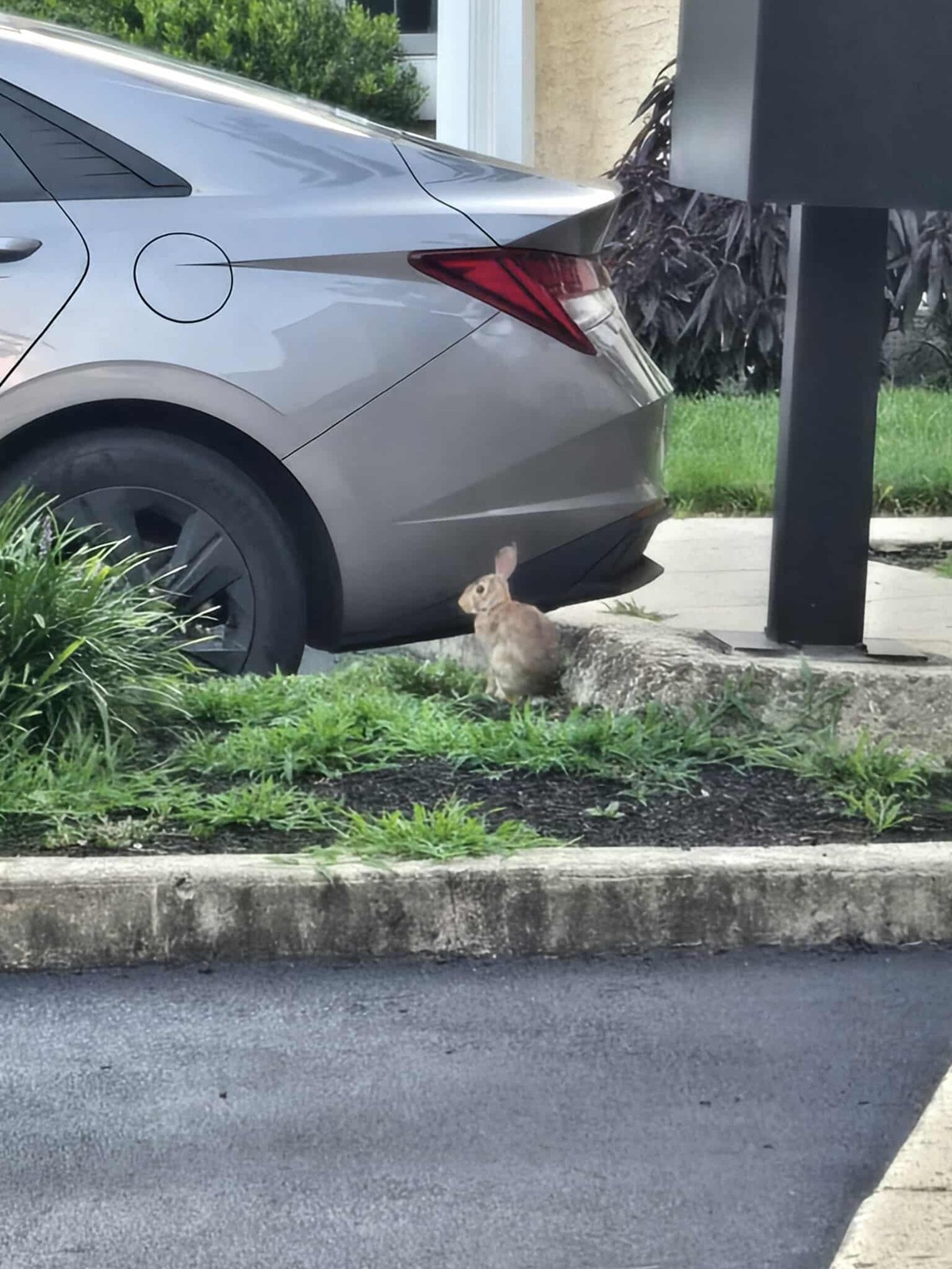 Spotted while on a walk