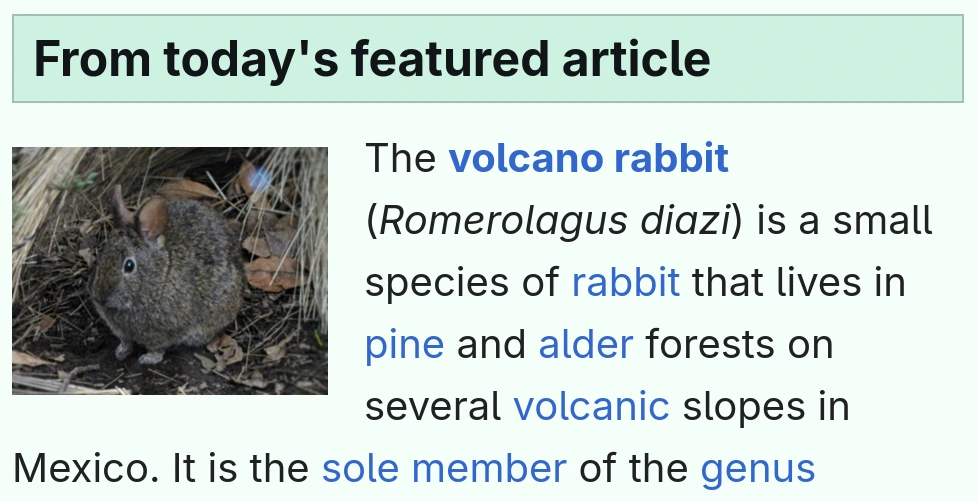 Today's featured article on Wikipedia: the volcano rabbit