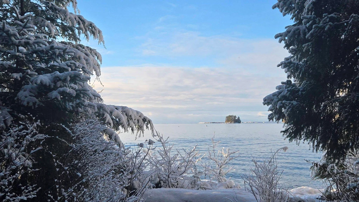 The view out into Sitka Sound from Totem Park, a clearing between two snow-covered trees, spruce on the left. There are mounds of snow at the edge of the ocean at high tide, far in the distance there is a small island. The sky is bright blue above, with white, long clouds at the horizon.