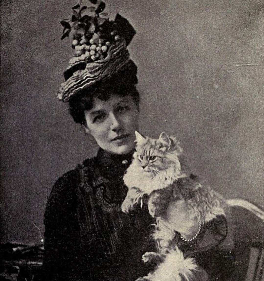 Historical kitty