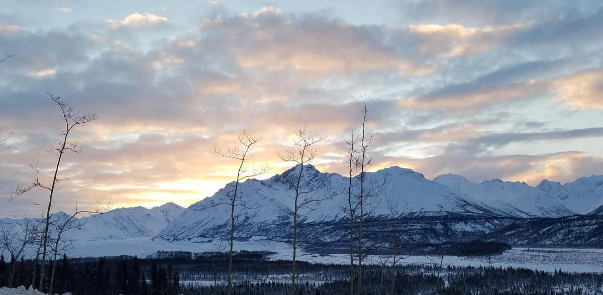 A winter sunrise, all yellow and apricot, above snow covered mountains in the distance. The glacier spills out to the left of the pic. There are a few leafless, tall trees in the foreground. The snow filled valley stretches out before you. 