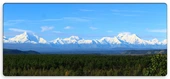 Panoramas
