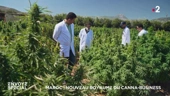 VIDEO. Maroc : nouveau royaume du canna-business