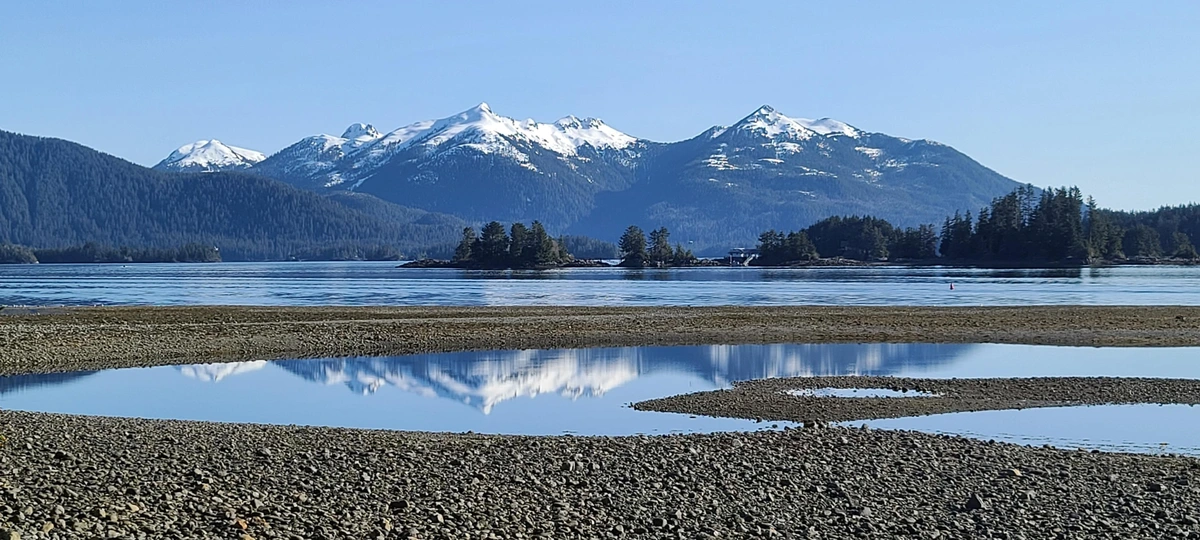 Eastern channel at low tide, pools of water reflect the snow-capped mountains in the distance, between gravel beds. Small, tree-covered islands are in the mid-distance. The sky is clear and light blue.
