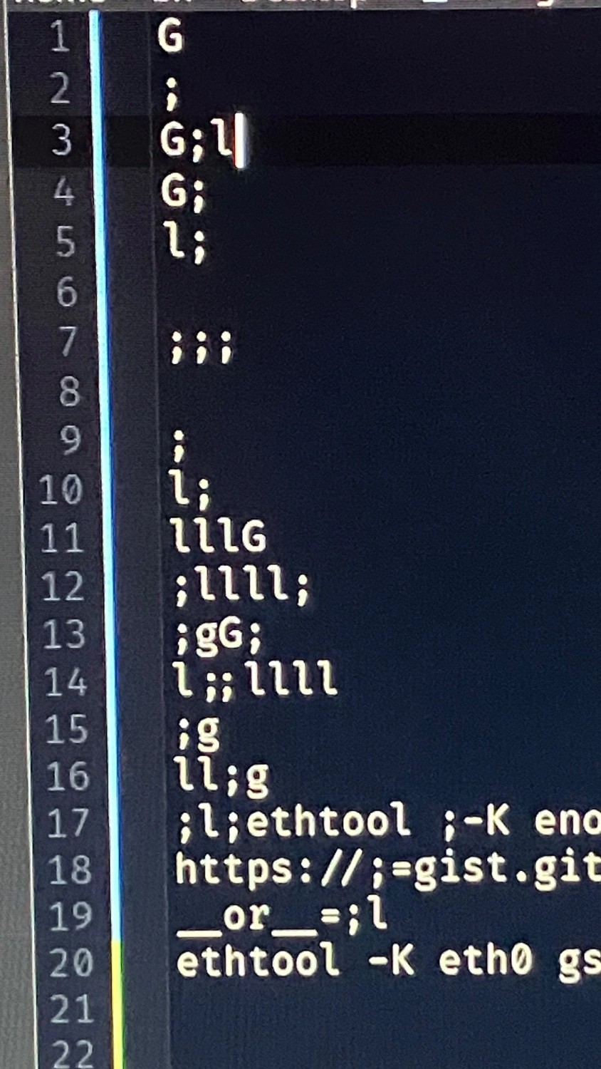 A picture of a text editor, with semicolons, newlines, lowercase L’s, and capital G’s having been entered in the midst of the document.
