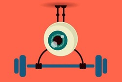 oeil